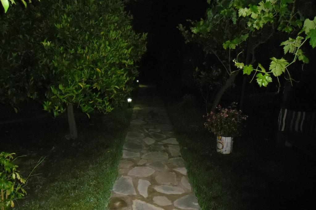 Cesur Pansiyon Hotel Çıralı Luaran gambar