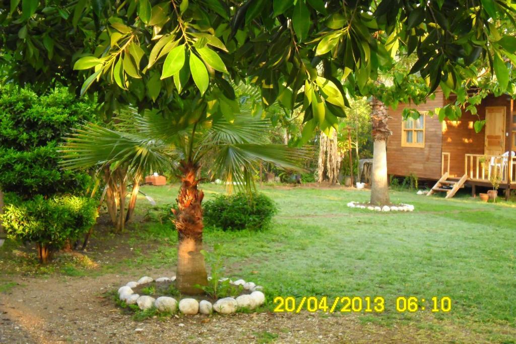 Cesur Pansiyon Hotel Çıralı Bilik gambar