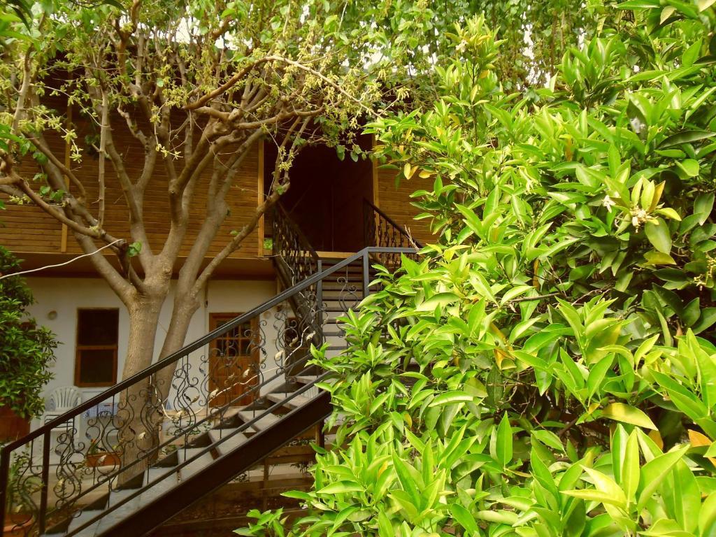 Cesur Pansiyon Hotel Çıralı Luaran gambar
